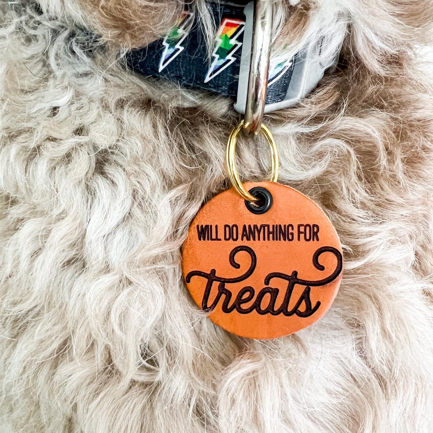 Leather Pet Tag